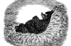  An illustration from Fred Tashlin's The Bear That Wasn't.