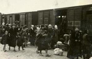 People and belongings outside a train having just arrived at Birkenau.