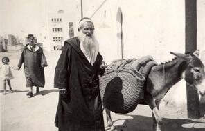 A Jewish man stands next to a donkey carrying baskets.
