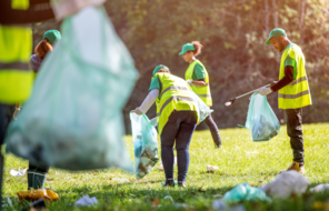 Volunteers Collecting Rubbish