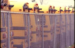 School buses parked next to one another inside of a fenced in parking lot.