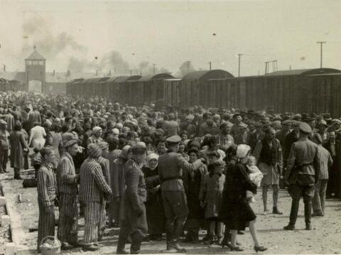  Hungarian Jews arrive at Auschwitz in 1944. More than 400,000 Jews from Hungary were deported to Auschwitz that year.