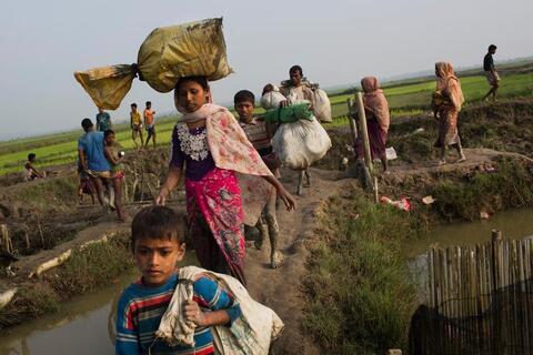 Members of Myanmar's Rohingya ethnic minority walk through rice fields after crossing the border into Bangladesh near Cox's Bazar's Teknaf area, Tuesday, Sept. 5, 2017.