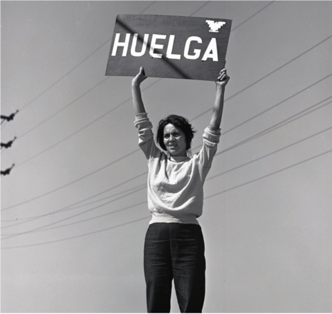 Dolores Huerta holding a “Huelga” sign during grape strike, Delano, California.