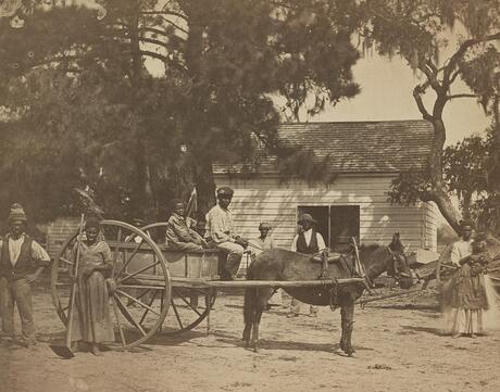 Photo shows a group of African American slaves posed around a horse-drawn cart, with a building in the background, at the Cassina Point plantation of James Hopkinson on Edisto Island, South Carolina.