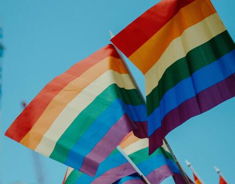 Photo of LGBTQIA+ Pride flags at London Pride 2019