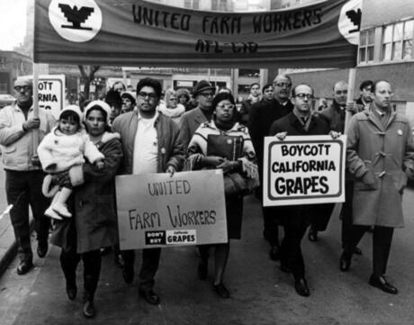 Supporters of the Grape Boycott demonstrate in Toronto, Ontario, December, 1968. Jessica Govea is in the center, front row (wearing poncho).